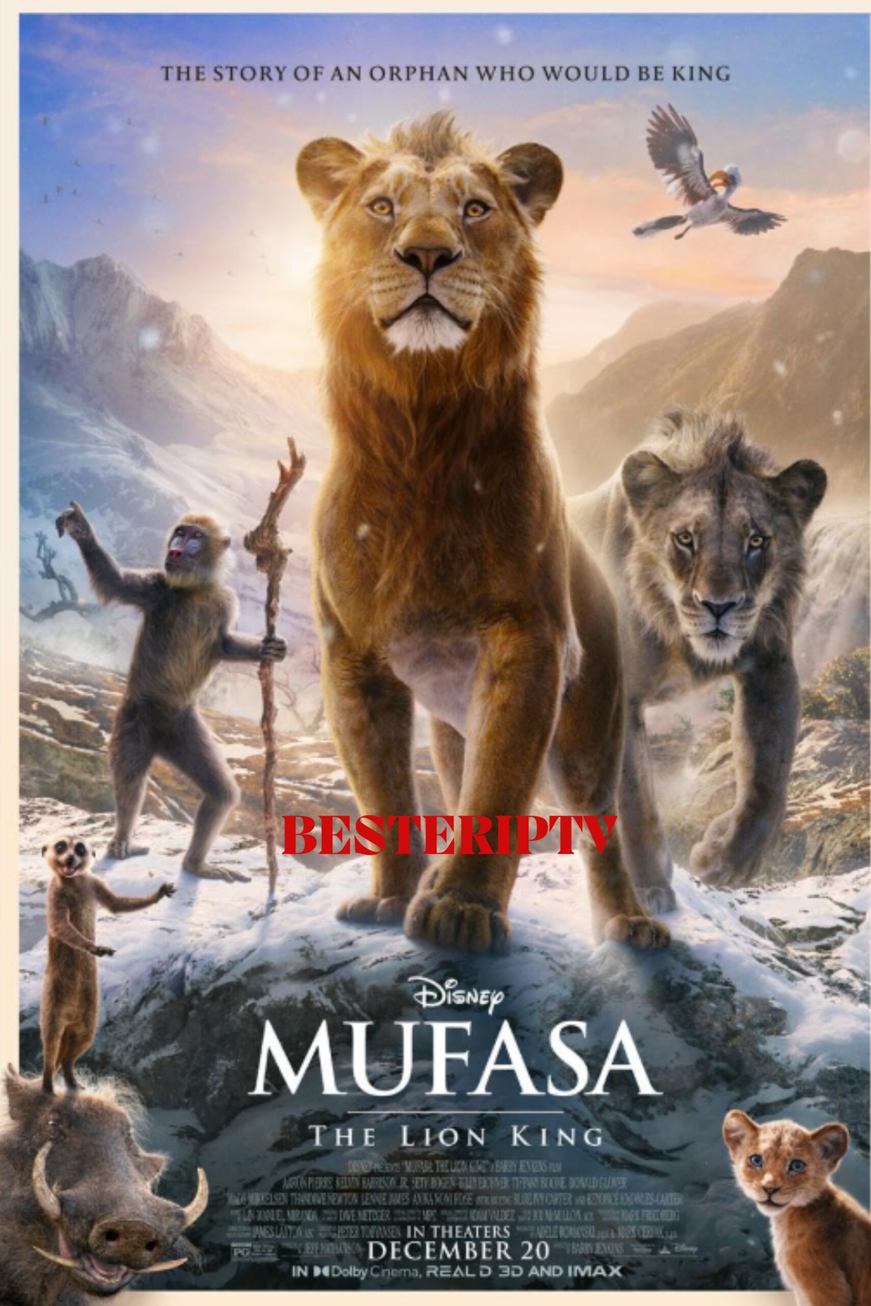 besteriptv (15)